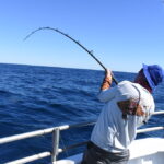mastering the art expert fishing tips unveiled